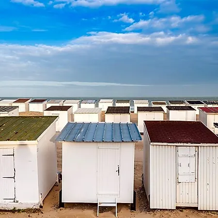 L'ecureuil Calais